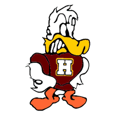 Havana Ducks